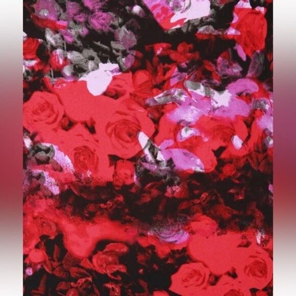 BB Dakota | Anitra Red Floral Print Halter Top M - Picture 6 of 8